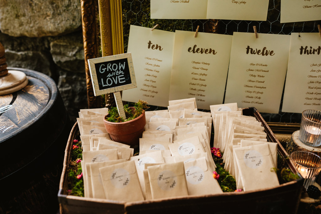 Plants seeds flowers grow love