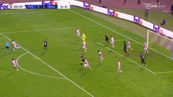 Borjan throw