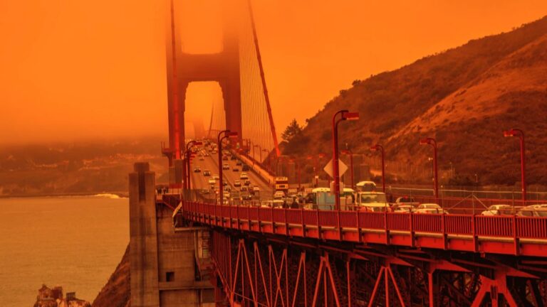California Fuel-Powered Car Sales Ban: What It Means – A-Z Eventz