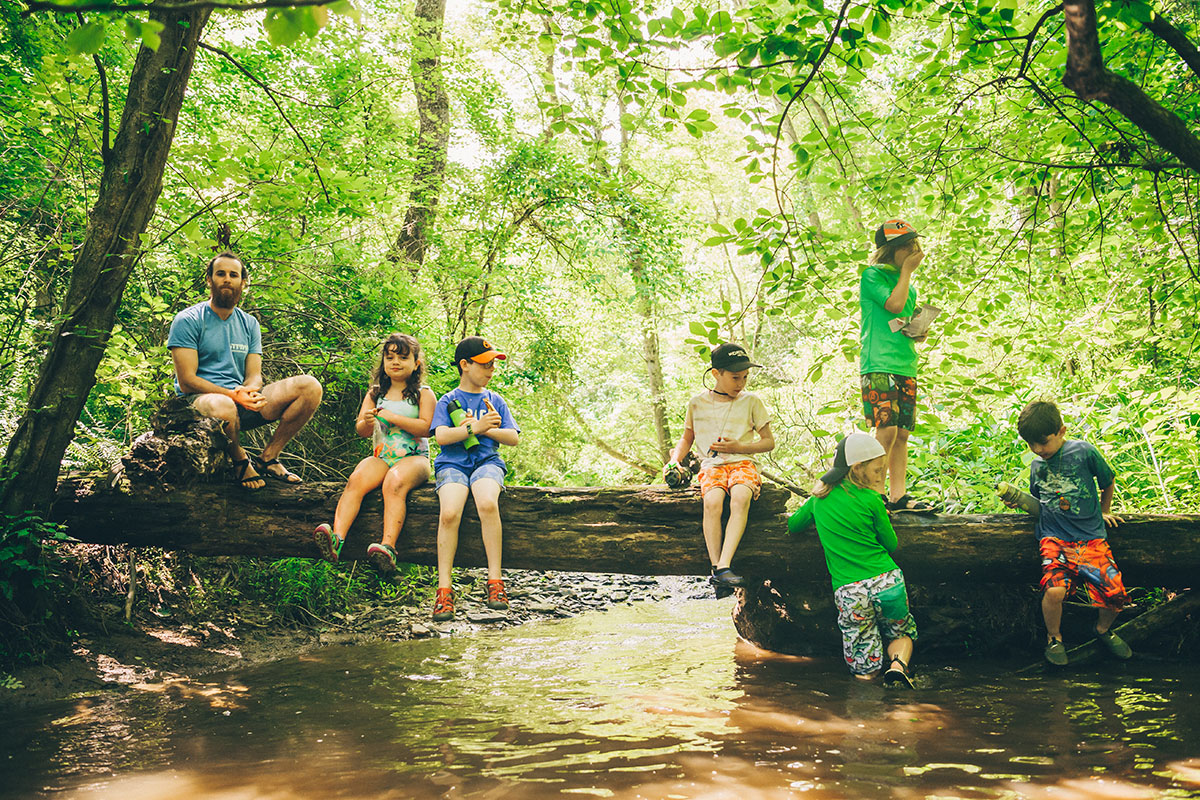Six children and an adult sit or stand on a fallen tree across a brown creek, glowing under light filtering through green trees.