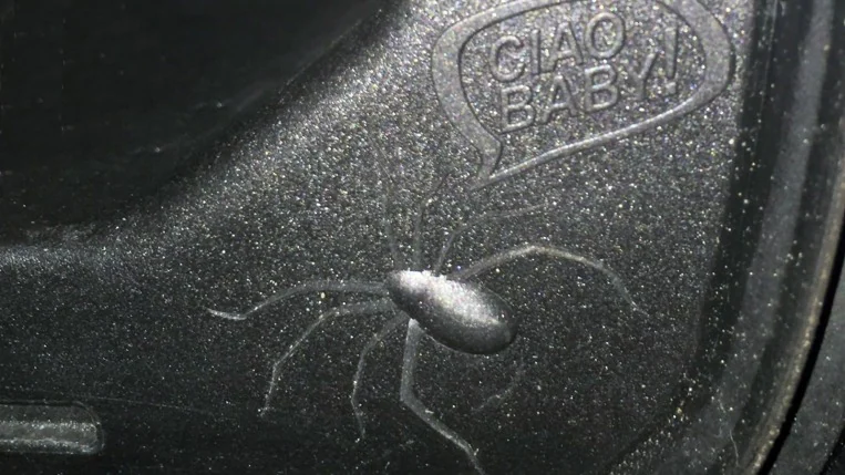 Jeep renegade easter egg
