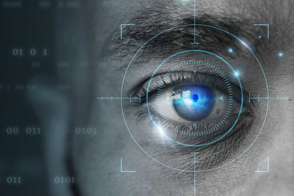 image for biometric data capturing