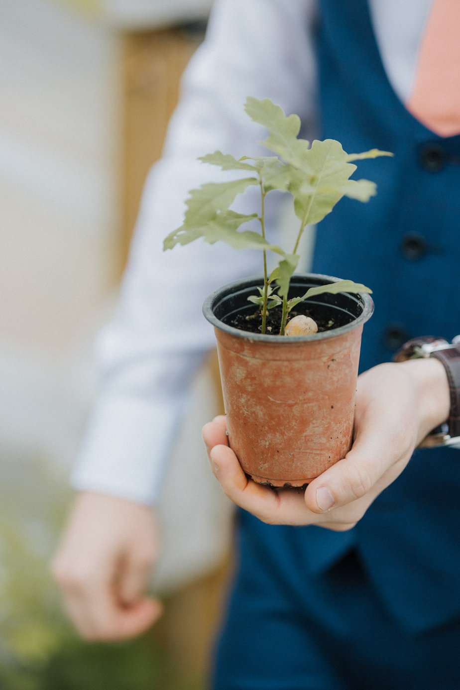Groom holds pot flower hand detail