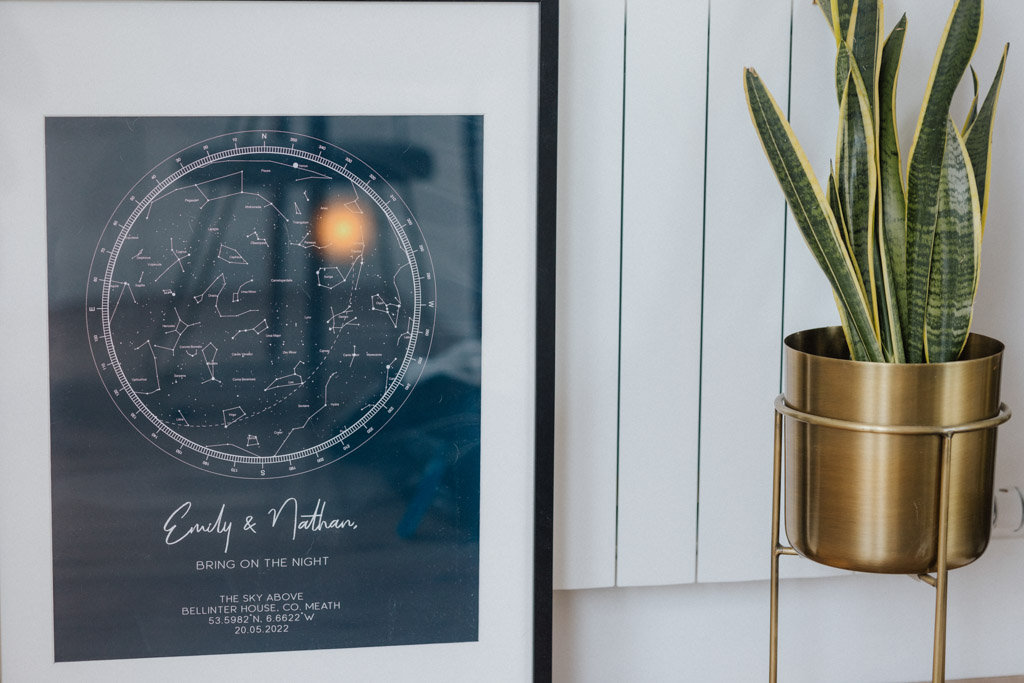 Photo frame alongside plant