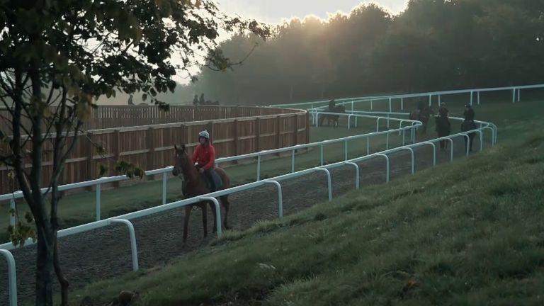 A horse heads out for work at Ben Pauling's Naunton Downs base