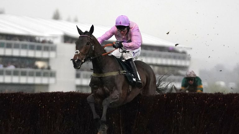 Global Citizen jumps the last on the way to winning at the Cheltenham Festival