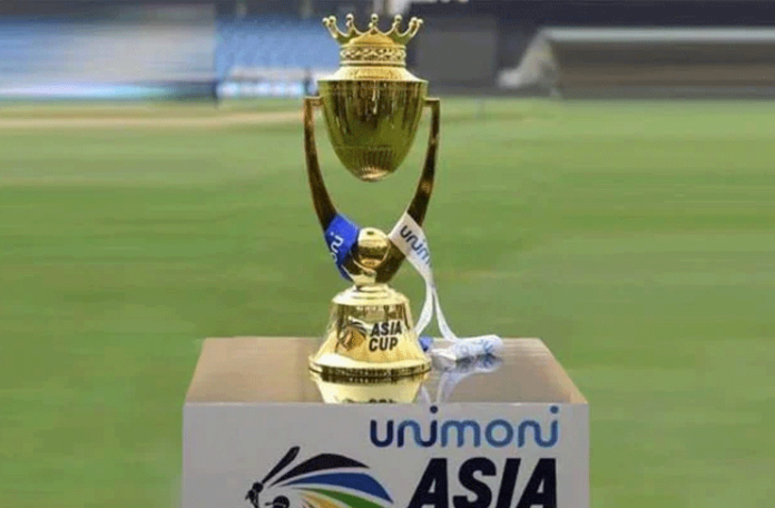 Indian Cricket 2023, Indian Cricket, BCCI, ICC, ACC, Virat Kohli, Ravichandran Ashwin, Indian Cricket 2023 Live, ODI WC, Asia Cup, Split Captaincy, NCA, WTC