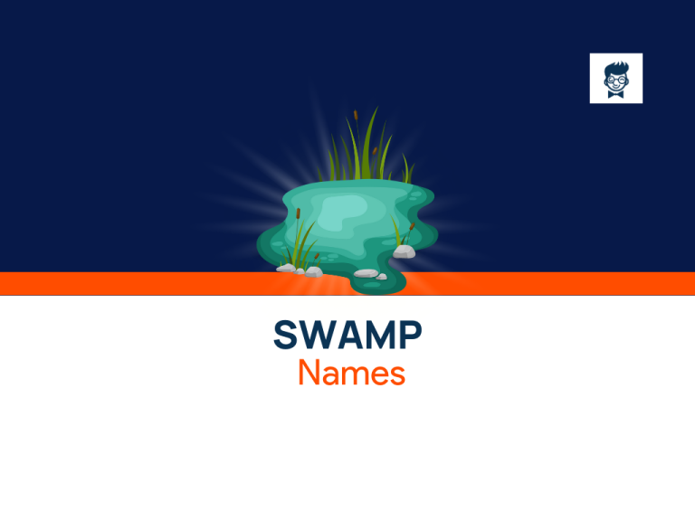 632+ Swamp Names for Dark Fantasy Worlds