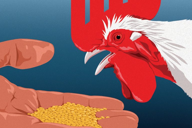 When I Begot here President of KFC, Franchisees and Corporate Hated Every Different. But I Believed This Behavioral Theory May Bring Them Back Together. | Entrepreneur