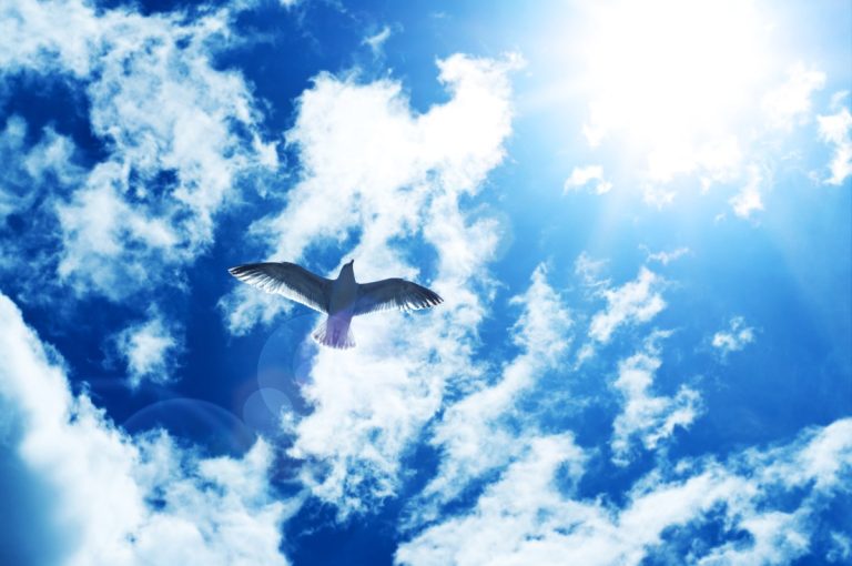 A world with out Caesars: How the ATProto neighborhood is rebuilding the online to return energy to the individuals | TechCrunch