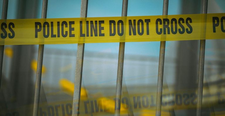 5 chilling particulars about Ariet Girgis’s homicide