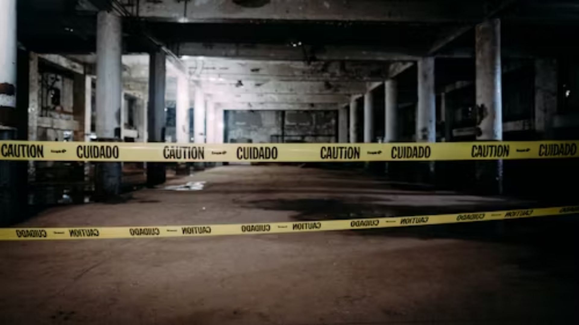 An image connected with the murder of Ariet (Image via Unsplash)