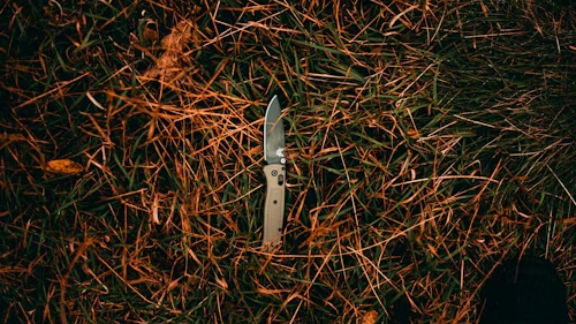 An image connected with the murder of Ariet (Image via Unsplash)