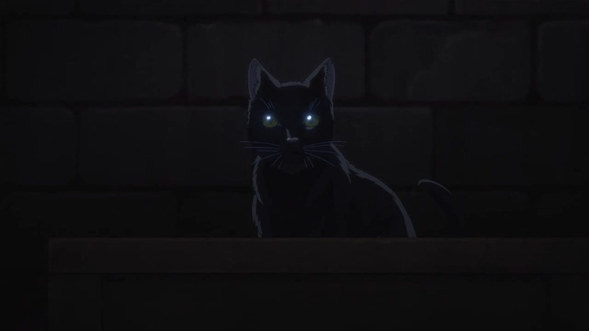 The cat, as seen in the storage room (Image via OLM)