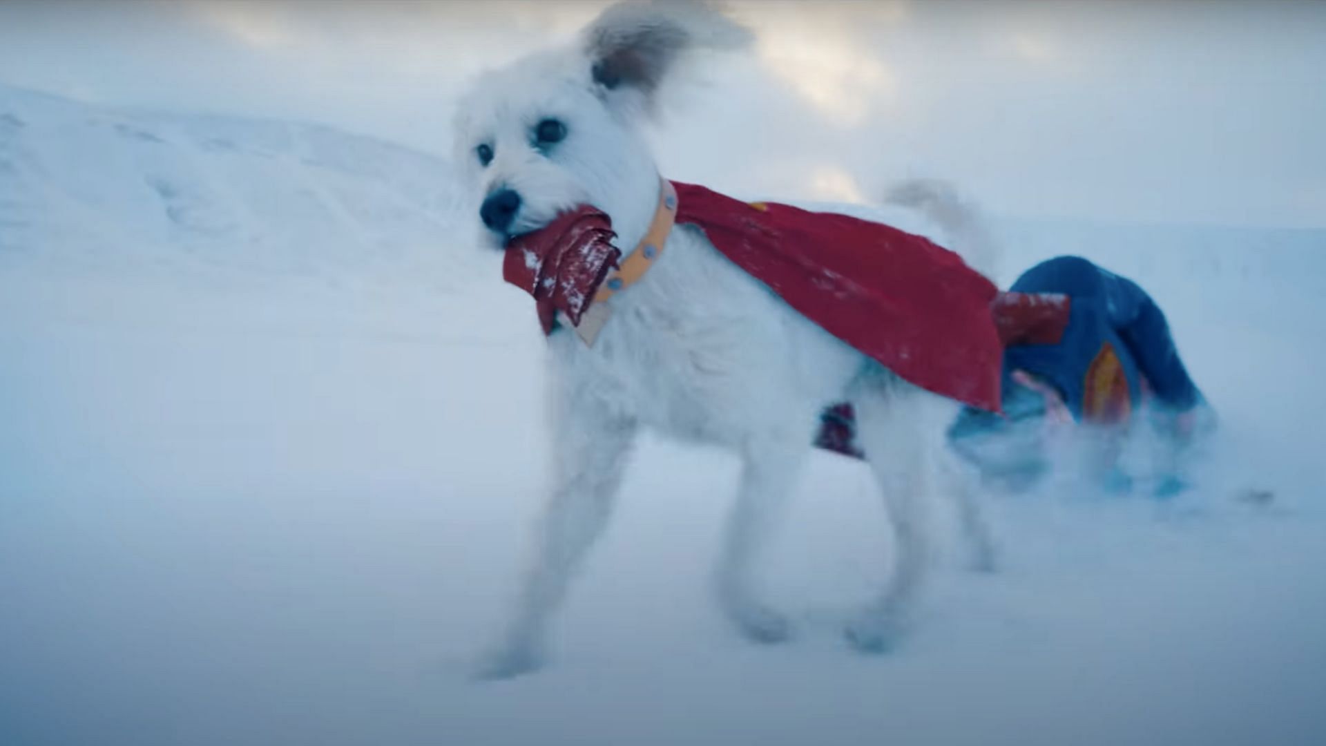 The dog has superpowers too (Image via YouTube/Warner Bros.)