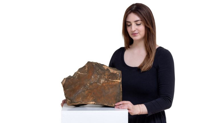 You Can Buy The Largest Martian Meteorite Ever Found (And A Sick Dinosaur Skeleton Too) – Jalopnik