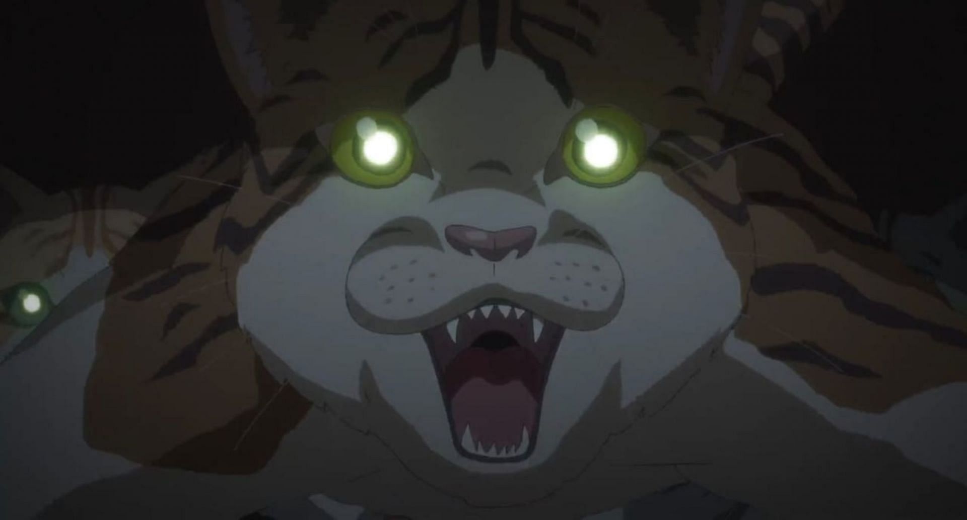 A cat, as seen in the anime (Image via OLM)