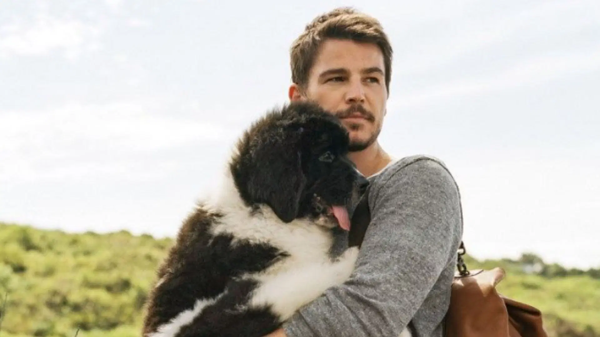 Josh Hartnett as Frank on The Bear (Image via Instagram/@joshhartnettofficial)