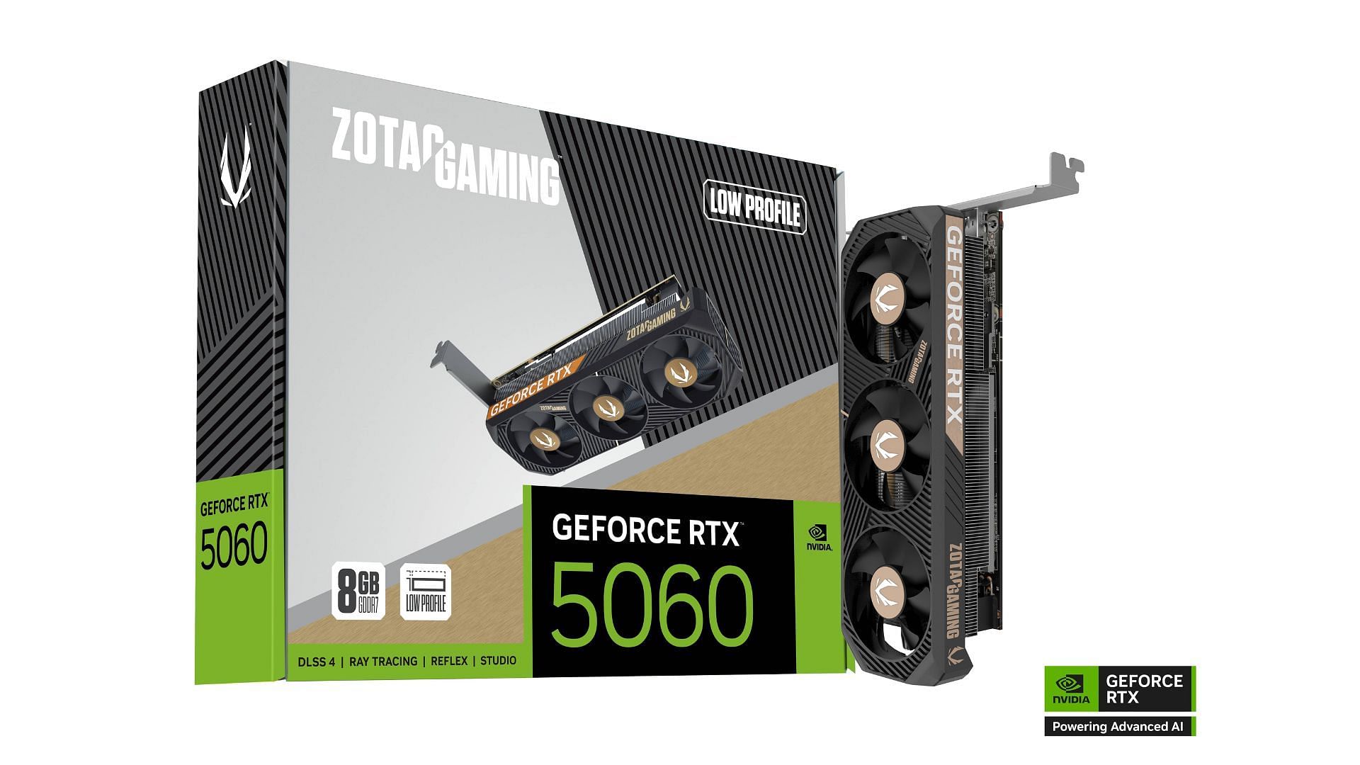 The Zotac RTX 5060 Low Profile is designed for compact SFF cases (Image via Zotac)