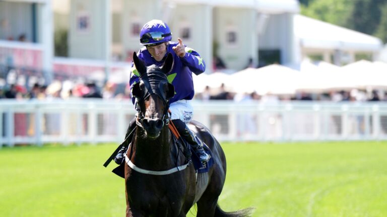 St Leger Stakes: Paddy Twomey relishing underdog standing as Carmers prepares for Doncaster Classic tilt