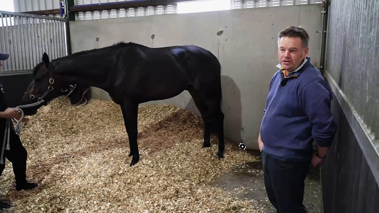 Paddy Twomey has his stable star, Carmers