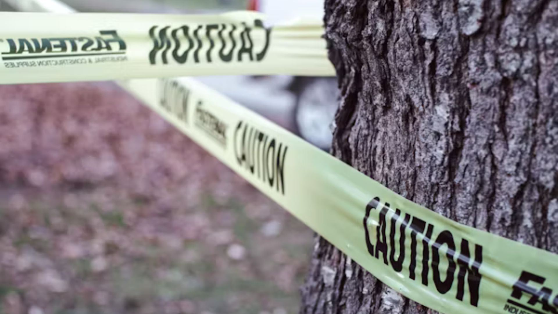 Tyler Barber was beaten to death (Image via Unsplash/ @ Jaclyn Baxter)