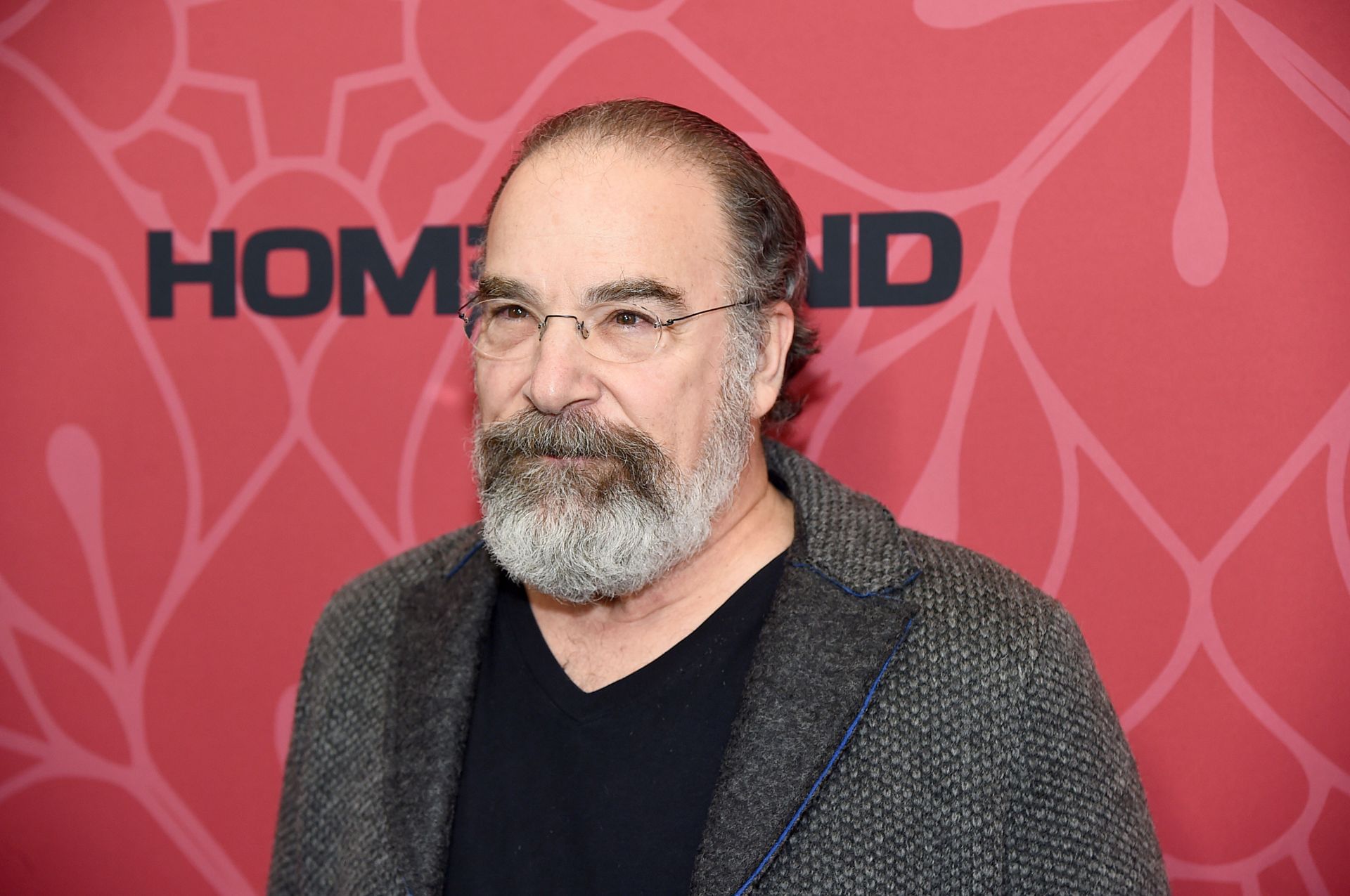 Mandy Patinkin (Image via Jamie McCarthy/Getty Images)
