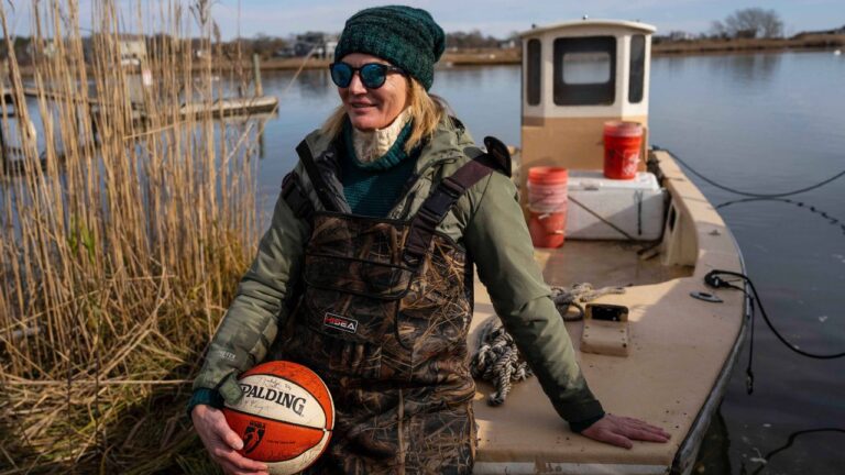 From hoops to oysters: Contained in the sudden second acts of WNBA stars