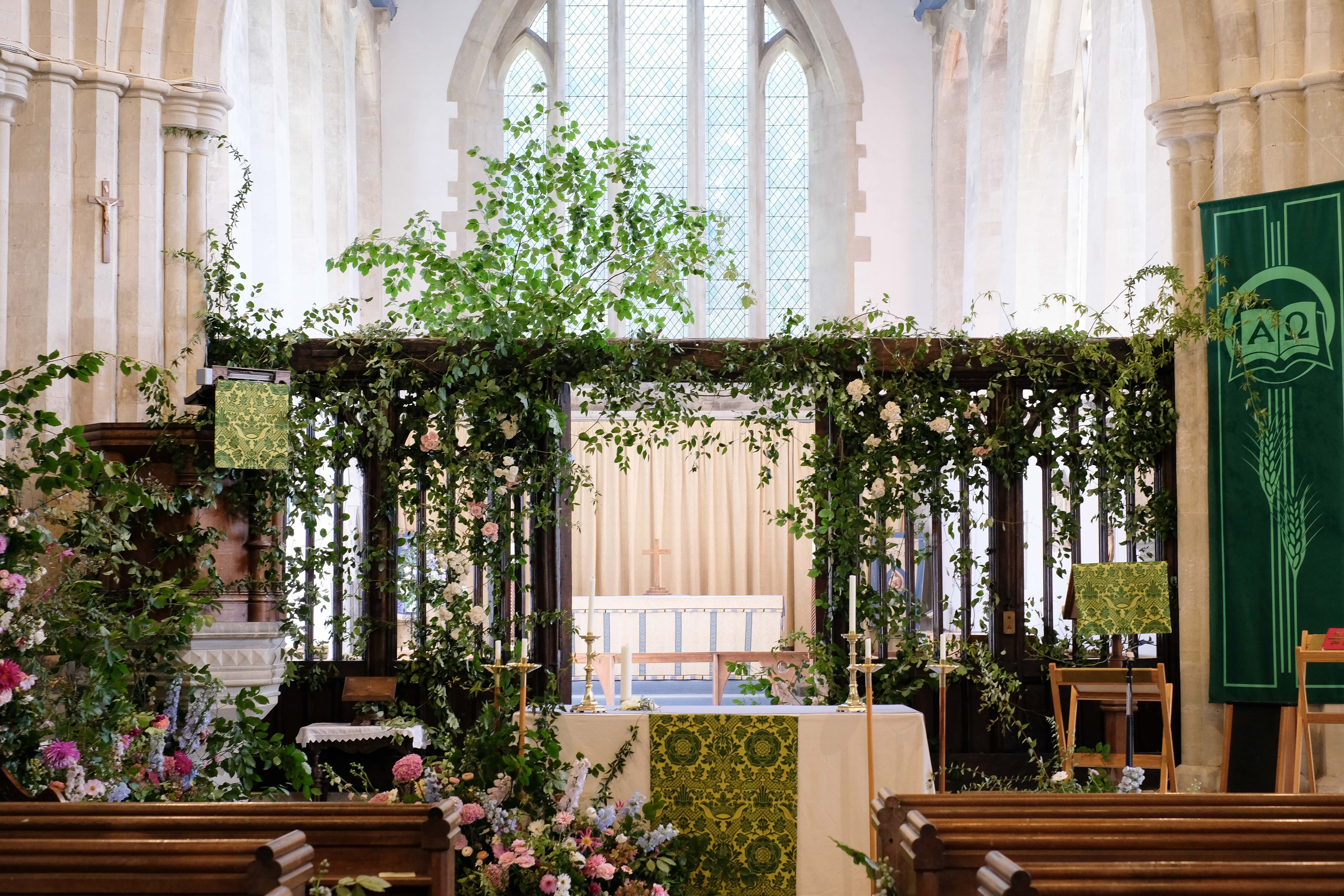 Feverfew 3 Nat sept 049 1