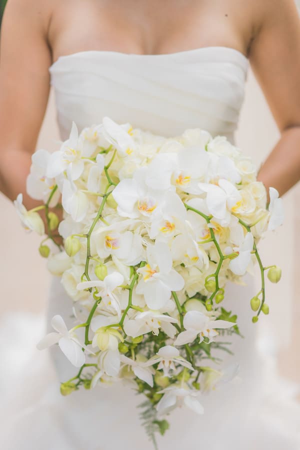Bride holding a cascading all-white phalaenopsis orchid bouquet, multiple branching stems arching gracefully downward against a white strapless gown