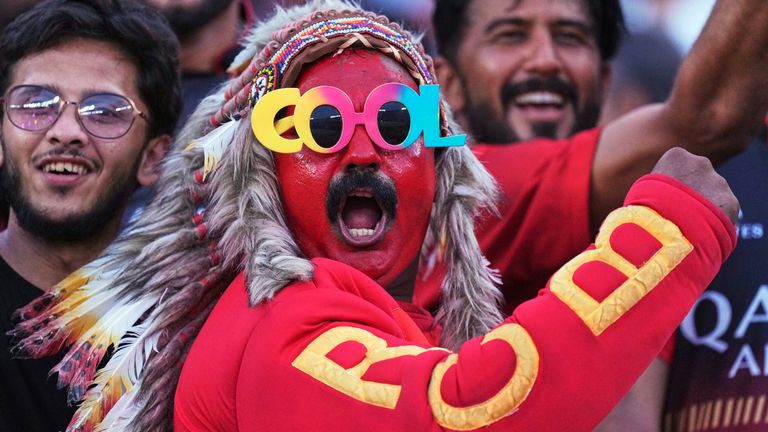 Royal Challengers Bengaluru fans cheers during an IPL match (Associated Press)