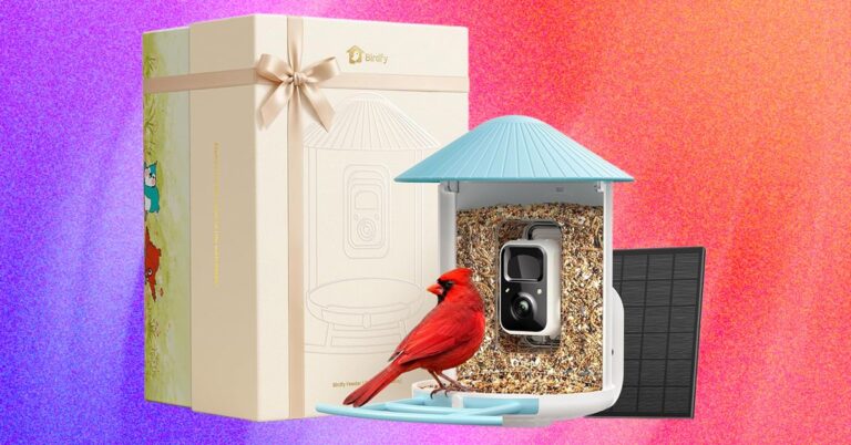 Tweet Mom to a Smart Bird Feeder This Mother’s Day