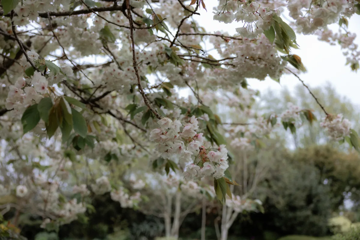 Cottagecore Wedding Inspiration 2 - Cottagecore Wedding Inspiration for Couples Dreaming of a Softer, Simpler Kind of Day Cottagecore Wedding Inspiration 2