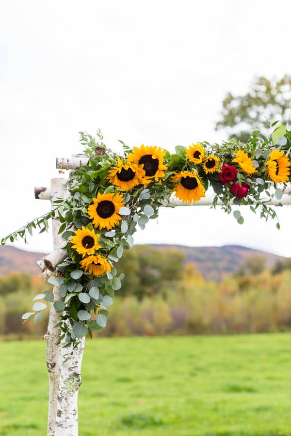 Close-up of a birch log wedding arch corner draped with sunflowers eucalyptus and red roses