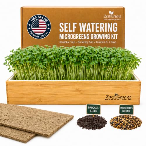 Veg Growing Kit