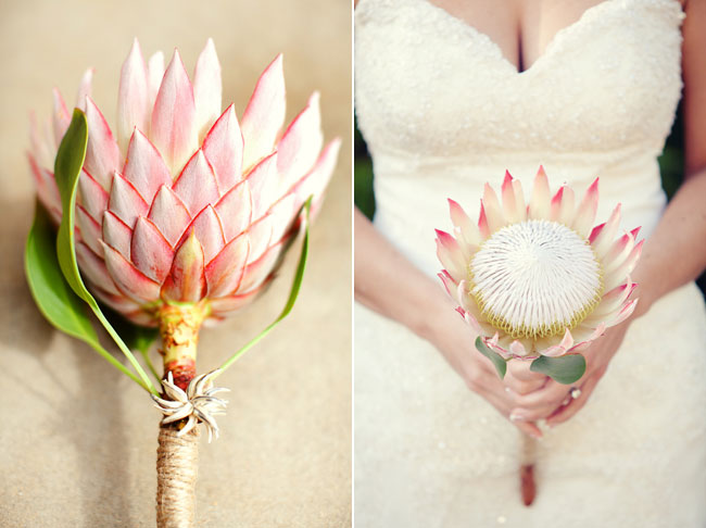 Bride holding a single pink and white King Protea bouquet with a twine-wrapped stem
