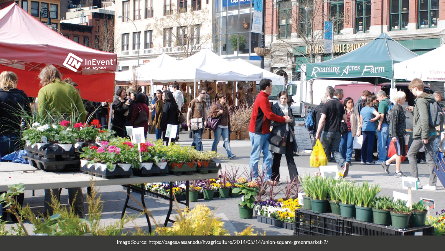 Local-Farmers-Market-Supporting-Small-Businesses-–-Union-Square-Greenmarket-New York