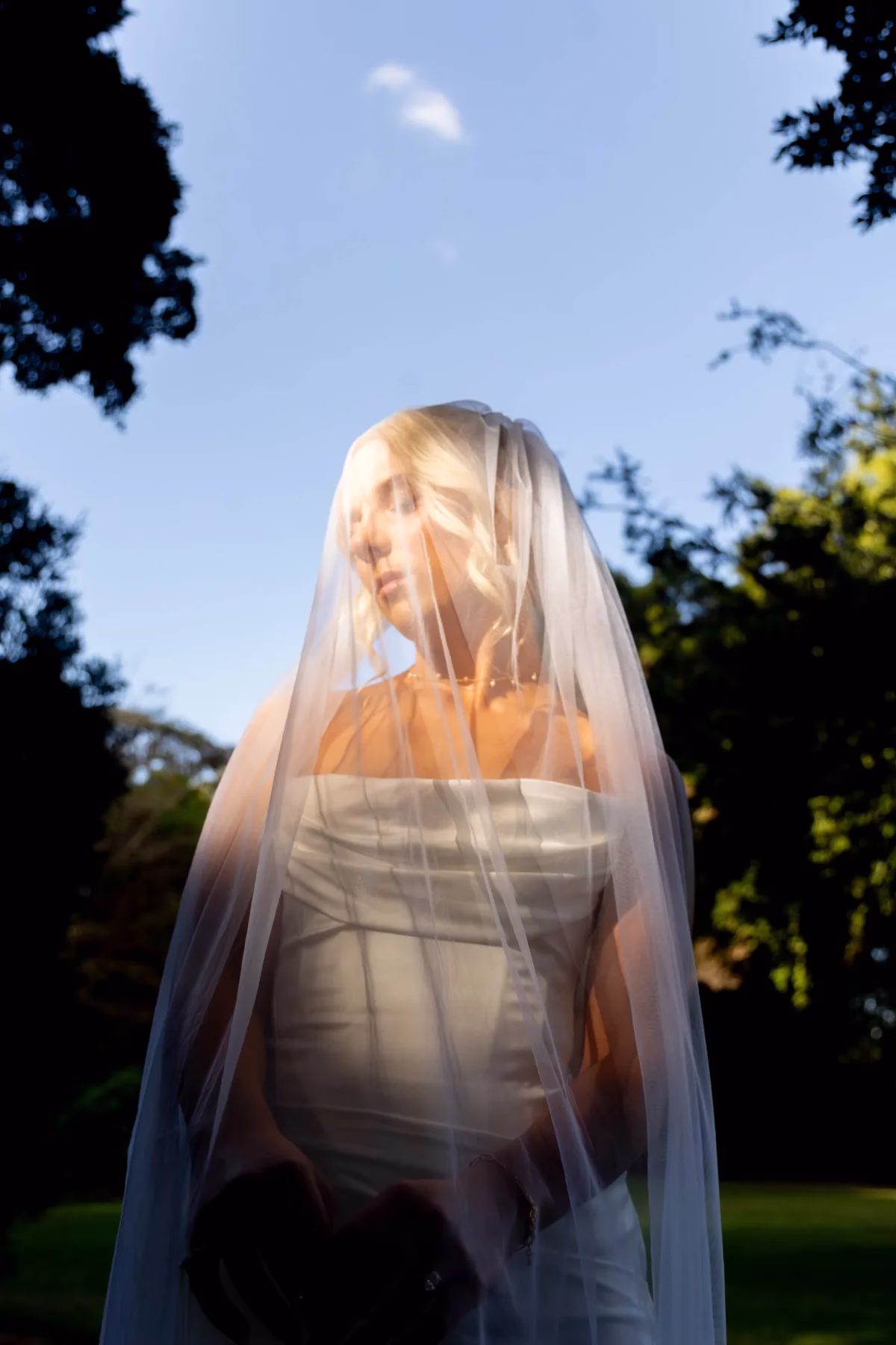 Bride in a strapless dress and sheer veil standing in warm sunlight against trees and blue sky.