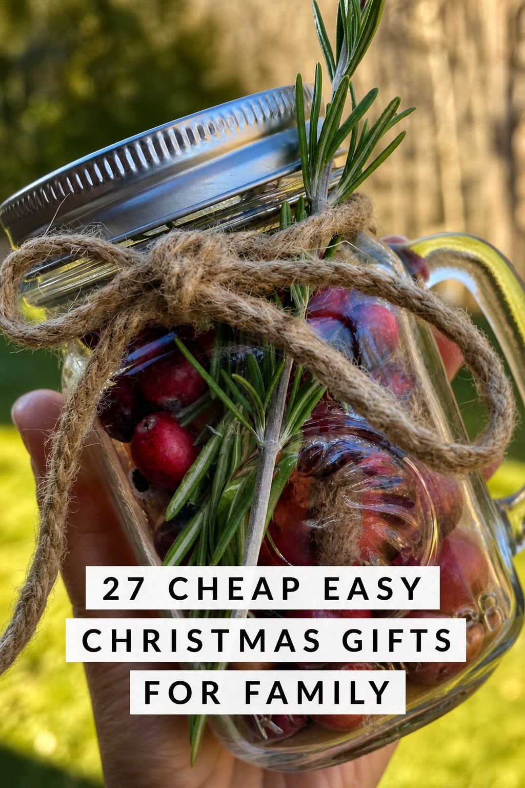Stovetop potpourri kit as a cheap Christmas gift for family