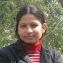 Krishna Bagra e1440432342813
