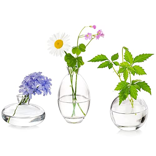 Clear Glass Bud Vases
