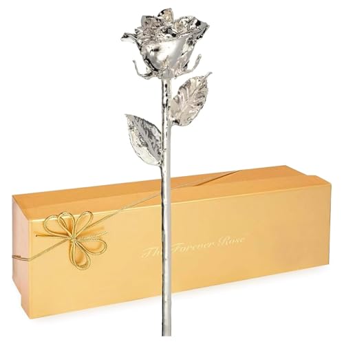 Silver Dipped Forever Rose