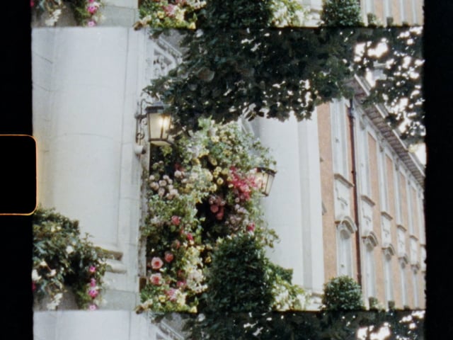 vimeo placeholder image